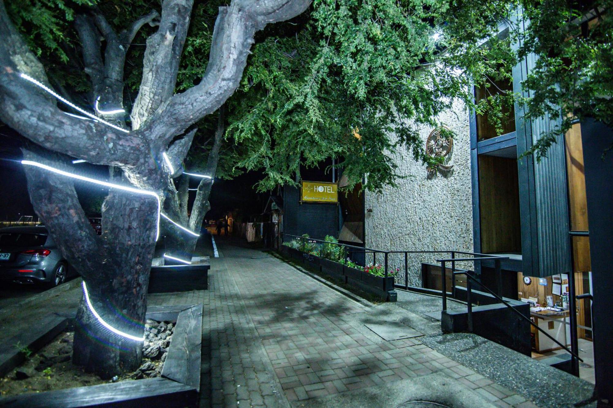 Hotel Cumbres Del Sur Pucón Exteriör bild